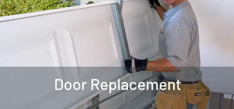  Door Replacement 
