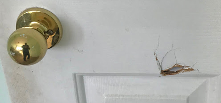 interior door hole repair San Luis Obispo