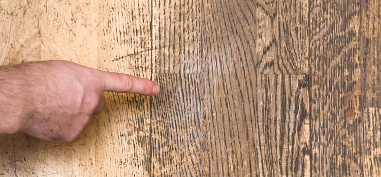 Wood Door Scratch Repair in San Luis Obispo